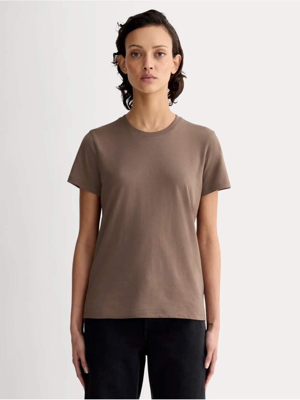 Everlane The Slim Crew in Essential Cotton - Clay Large